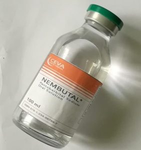 buy nembutal online
